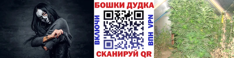 Каннабис индика  Еманжелинск 